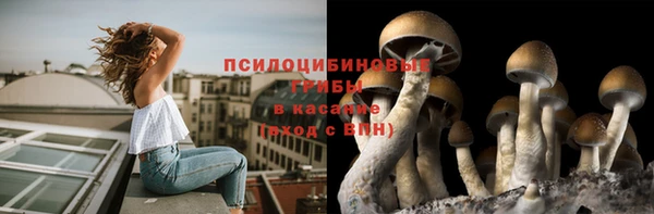 кристаллы Алзамай